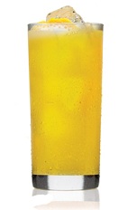 The Patron Daisy is an orange drink made from Patron tequila, Cointreau orange liqueur, mango, grapefruit juice, agave nectar and club soda, and served over ice in a highball glass.