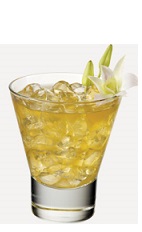 The Queen's Cocktail recipe is made from Burnett's gin, dry vermouth, sweet vermouth and pineapple, and served over ice in a rocks glass.