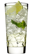 The Rose's Mojito is a classy variation of the standard Mojito drink. A clear drink made from Rose's mojito cordial, Rose's lime cordial, rum, club soda, mint and lime, and served over ice in a highball glass.