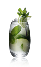 The Russian Mojito drink recipe is made from Danzka Citrus vodka, lime, mint, sugar and chilled champagne, and served over ice in a highball glass.