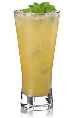 The Scorpion is an orange drink made from Bacardi rum, cognac, orange juice, orgeat syrup and lemon juice, and served over ice in a highball glass.