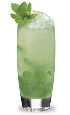 The Sour Apple Mojito is a green drink made from sour apple schnapps, rum, simple syrup, lime juice, mint and club soda, and served over ice in a highball glass.