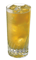 The Southern Hospitality is an orange colored drink made from Southern Comfort, watermelon Pucker, amaretto, triple sec and Red Bull, and served over ice in a highball glass.