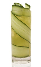 The Patron Garden is a fancy green drink made from Patron tequila, cucumber, orange bitters, mint and cardamom, and served over ice in a highball glass.