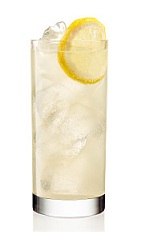 The Tom Collins is a classic tall drink made from gin, lemon juice, simple syrup and club soda, and served with lemon over ice in a collins or highball glass.