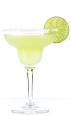 Tommy's Margarita is an exciting variation of the classic Cinco de Mayo cocktail recipe. Made from Excellia tequila, lime juice and agave nectar, and served in a salt-rimmed margarita glass.