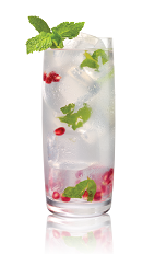 The White Pomegranate Mojito is a variation on the classic Mojito drink. Made from Stoli White Pomegranik vodka, lime juice, agave nectar and mint leaves, and served over ice in a highball glass.