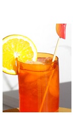 The Woody Woodpecker drink recipe is an orange colored cocktail made from Boca Loca cachaca, Galliano liqueur and orange juice, and served over ice in a highball glass.