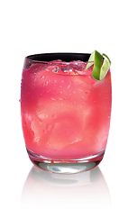 The X-Otica is an exotic pink colored drink recipe made from X-Rated Fusion liqueur and SKYY coconut vodka, and served over ice in a rocks glass.
