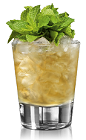 The Bacardi 8 Rum Julep is a variation of the classic Mint Julep drink, perfect for a Kentucky Derby party. An orange drink, made form Bacardi rum, mint, simple syrup and bitters, and served over ice in a rocks glass.