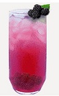 The Blackberry Bliss drink recipe is made from Burnett's blackberry vodka, orange juice, pineapple juice, club soda and blackberries, and served over ice in a highball glass.