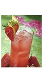 The Boca Royale cocktail is a red colored drink made from Boca Loca cachaca, lemon juice, simple syrup, strawberry and chilled champagne, and served over ice in a highball glass.