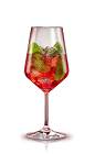 The Campari Mint Spritz is a red cocktail made from Campari, cranberry juice, mint and prosecco or champagne, and served over ice in a wine glass.
