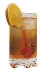 The Cassis Cooler drink recipe is made from Chymos crème de cassis, grapefruit juice and ginger ale, and served over ice in a highball glass garnished with an orange slice.