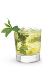The Citrus Mojito Cruzan drink recipe is a fruity variation of the classic Mojito drink recipe. Made from Cruzan citrus rum, lime, mint, sugar and club soda, and served over ice in a rocks glass.