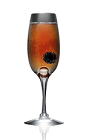 The Danzka Royal cocktail recipe is made from Danzka Currant vodka, blackberry liqueur and chilled champagne, and served in a chilled champagne flute.