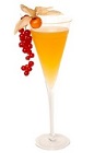 The Dutch people have a long and interesting history to be enjoyed by all. Start out with some Dutch Stories, an orange colored cocktail recipe made from genever, apricot brandy, maraschino liqueur, lemon juice and gooseberry jam, and served in a chilled cocktail glass.