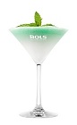 The Foamy Grasshopper is a modern variation of the classic Grasshopper cocktail. A green drink made from Bols Natural Yoghurt liqueur, white creme de cacao, peppermint schnapps and Bols Peppermint Green Foam liqueur, and served in a chilled cocktail glass.