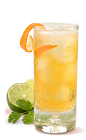 The Gran Gala Tequila Cooler blends Italian and Mexican flavors into a relaxing and refreshing drink recipe. Made from Gran Gala Triple Orange liqueur, Corazon silver tequila, lime juice, cilantro and club soda, and served over ice in a highball glass.