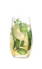 The Grand Mojito is a variation of the classic Mojito cocktail, using Grand Marnier instead of rum. A clear cocktail made from Grand Marnier orange liqueur, club soda, lime and mint, and served over ice in a highball glass.