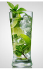 Take your common Mojito to the next level with this great drink recipe. The I Like it Mojito cocktail is made from Flor de Cana rum, lime, mint, club soda and sugar, and served over ice in a highball glass.