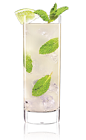 The Mint Muse drink recipe is made from Lucid absinthe, pineapple juice, mint, lime and lemon-lime soda, and served over ice in a highball glass.