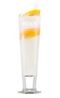The Orange Genever Fizz is a refreshing summer drink made from Bols Genever, Bols Natural yoghurt liqueur, vanilla liqueur, grapefruit juice, lime juice, simple syrup, orange flower water and ginger ale, and served over ice in a collins glass.