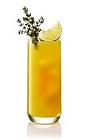 The Orange Gin is an orange colored drink made from Beefeater gin, orange juice, lime and mint, and served over ice in a collins or highball glass.