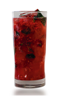 The Raspberry Mojito combines the flavors of an early summer day to form a refreshing red colored drink. Made from Don Q rum, raspberries, mint, lime juice and chilled champagne, and served over ice in a highball glass.