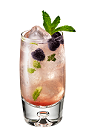The Riviera Mojito drink is made from Chambord flavored vodka, limoncello, simple syrup, mint leaves and raspberries, and served in a highball glass.