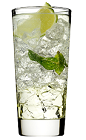 The Rose's Mojito is a classy variation of the standard Mojito drink. A clear drink made from Rose's mojito cordial, Rose's lime cordial, rum, club soda, mint and lime, and served over ice in a highball glass.