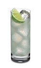 Sally's Summer Cooler is a refreshingly cool cocktail recipe for a hot summer day. Made from peppermint schnapps, lime juice and club soda, and served over ice in a Collins glass.