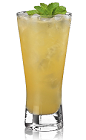 The Scorpion is an orange drink made from Bacardi rum, cognac, orange juice, orgeat syrup and lemon juice, and served over ice in a highball glass.