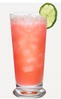 The Pomegranate Seabreeze drink recipe is made from Burnett's pomegranate vodka, grapefruit juice and cranberry juice, and served over ice in a rocks glass.