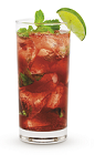 The Spiced Holly Highball drink recipe is made from Cruzan Aged Dark rum, cranberries, cinnamon, agave nectar, mint and club soda, and served over ice in a highball glass.