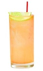 The Pinta is an orange drink made from Patron tequila, ginger beer and lime, and served over ice in a highball glass.