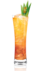 The Tropix Storm is an exotic orange colored drink made from Tropix liqueur, rum, lime juice and ginger beer, and served over ice in a Collins glass.