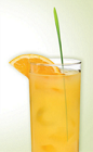 The Zudriver is a Polish version of the classic Screwdriver cocktail. An orange colored drink made from Zubrowka Bison Grass vodka, orange juice and club soda, and served over ice in a Collins or highball glass.