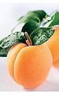 Apricots are small orange fruits with a flavor profile ranging from sweet to tart. Apricots are generally not juicy, but are great for mixed drinks as a puree.